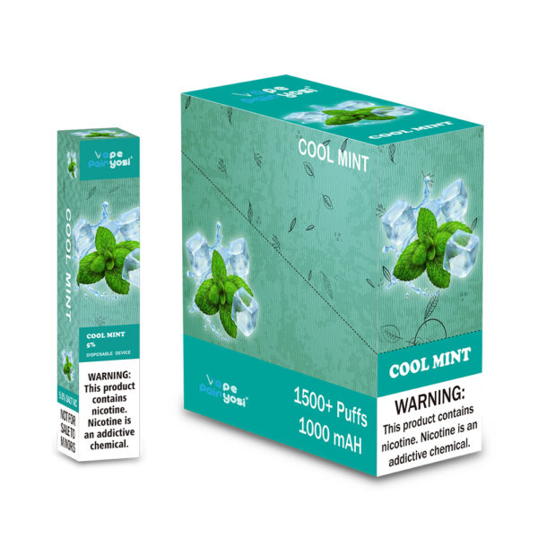 1500 puffs vape Cool mint