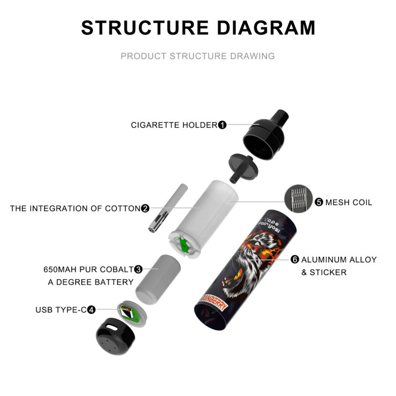 Rechargeable Vape 5000 puffs